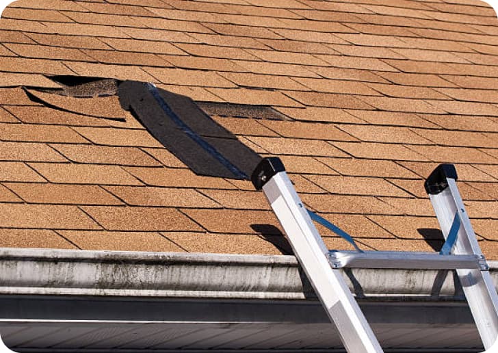 storm-damage2.jpg